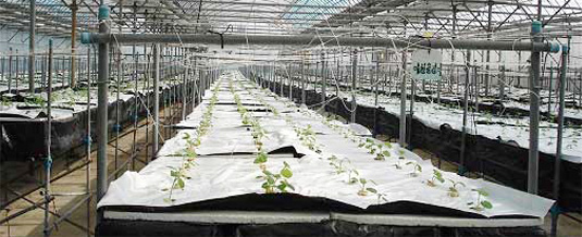 02_ProduceService_img48